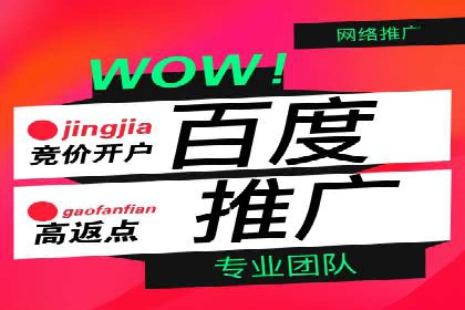 百度推广代理助力企业实现品牌升级的案例